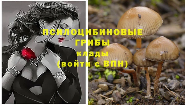 дмт Арсеньев